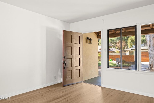 interior space with wood-type flooring