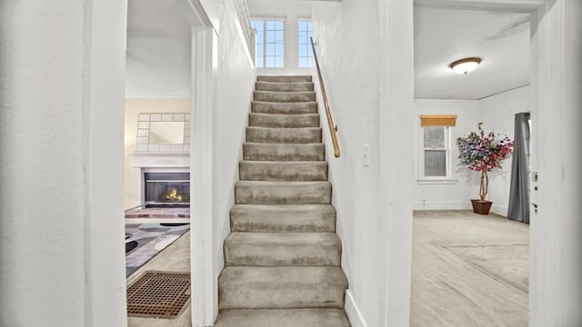 stairway featuring carpet floors and a wealth of natural light