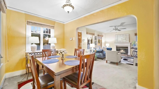 dining space featuring ceiling fan, carpet floors, and ornamental molding