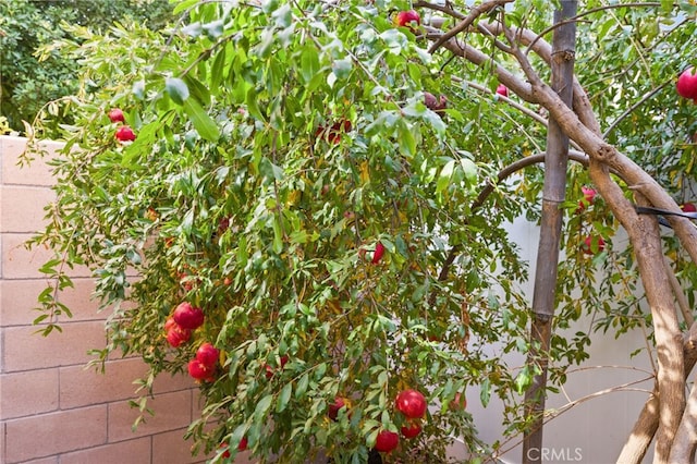 24809 Melrose Dr, Menifee, CA 92585 - view of details
