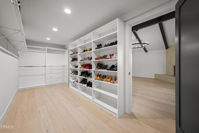 walk in closet with light hardwood / wood-style flooring