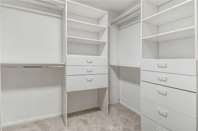 spacious closet featuring light colored carpet