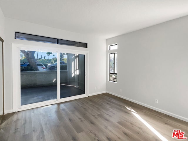 spare room with a healthy amount of sunlight and wood-type flooring