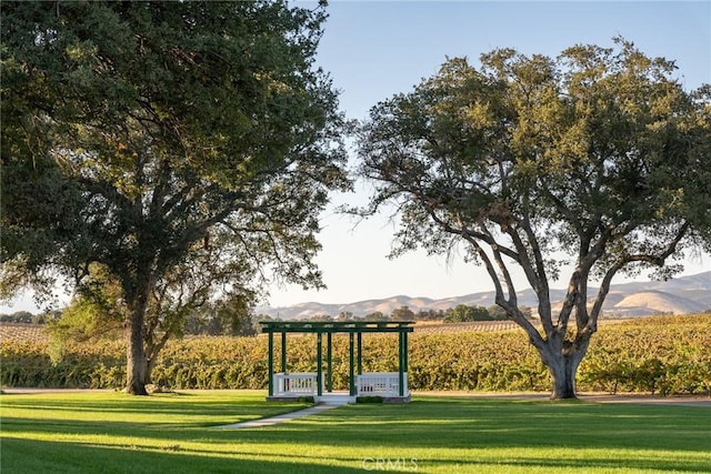 view of property's community featuring a lawn and a mountain view