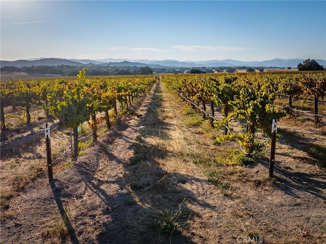 exterior space featuring a rural view