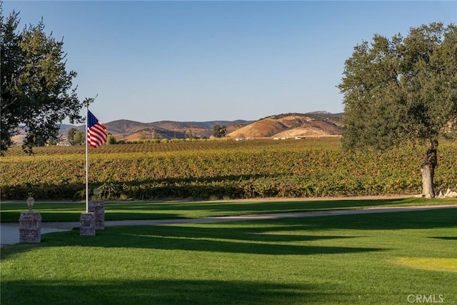 view of property's community with a lawn and a mountain view