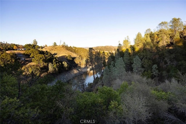 5503 Whispering Pines Ln, Paso Robles, CA 93446 - photo 47
