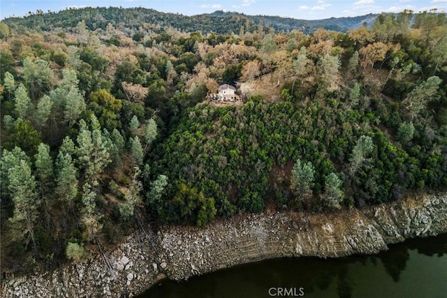 birds eye view of property with a water view and a view of trees