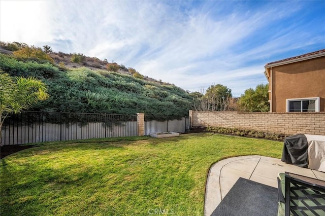 view of yard featuring a patio area