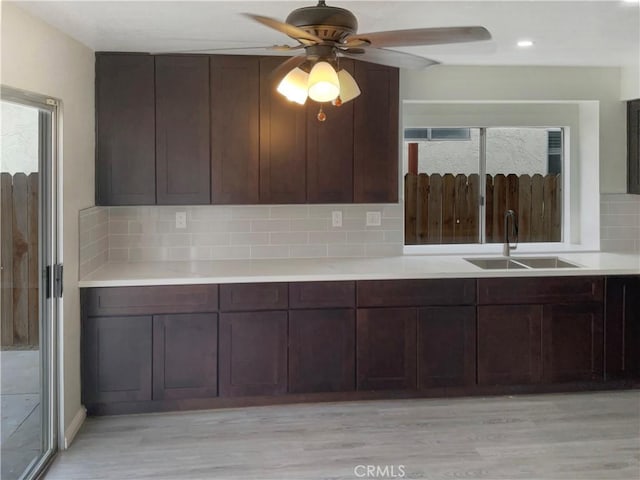 kitchen with light hardwood / wood-style floors, tasteful backsplash, dark brown cabinetry, and sink