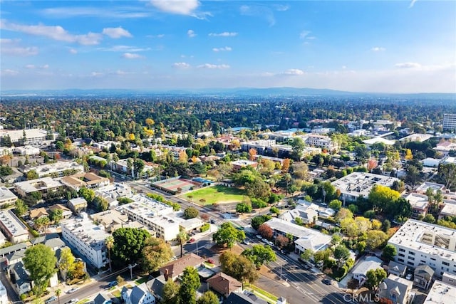 aerial view