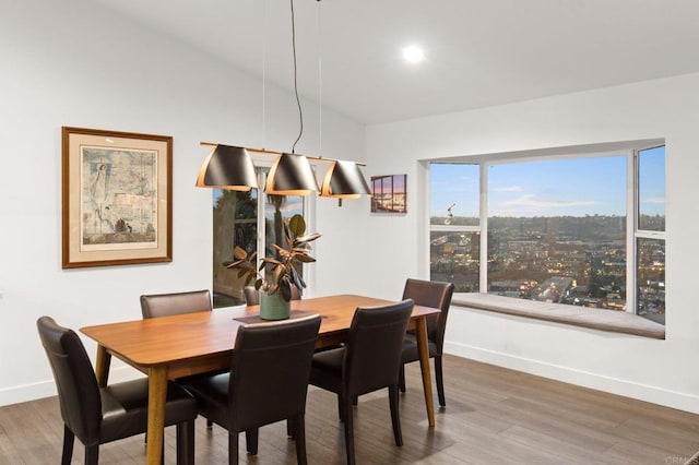 dining room featuring hardwood / wood-style flooring