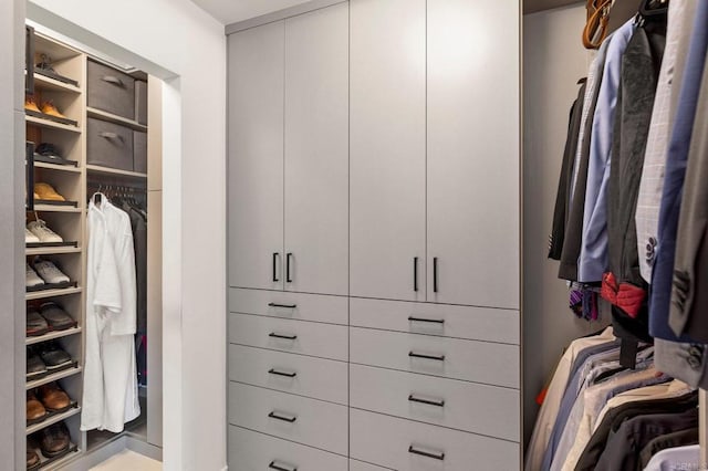 view of walk in closet