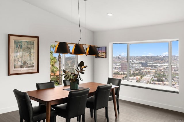 dining space featuring dark wood-type flooring