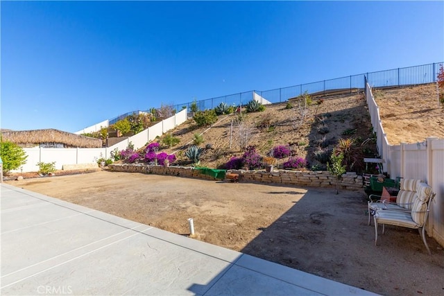 view of yard featuring a patio area and a fenced backyard