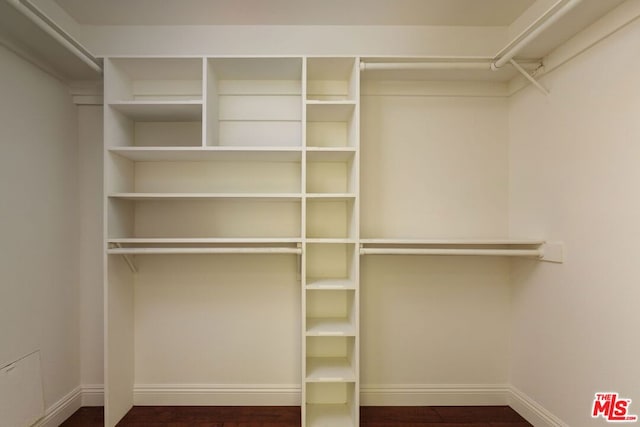 spacious closet featuring hardwood / wood-style floors