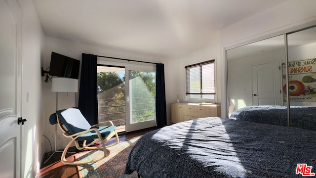 bedroom with multiple windows and a closet