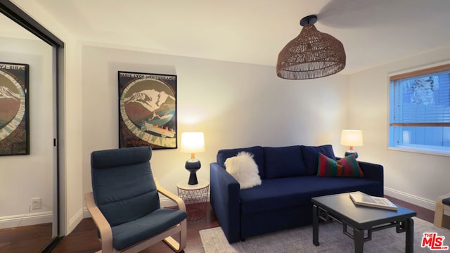 living room featuring wood-type flooring