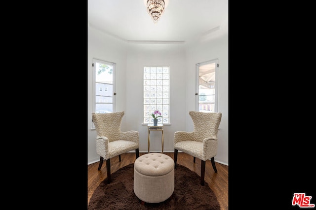 sitting room featuring hardwood / wood-style flooring