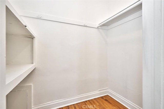 spacious closet with wood-type flooring