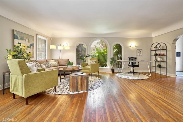 living room featuring hardwood / wood-style floors