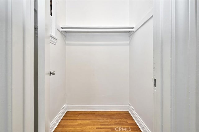 spacious closet with hardwood / wood-style floors