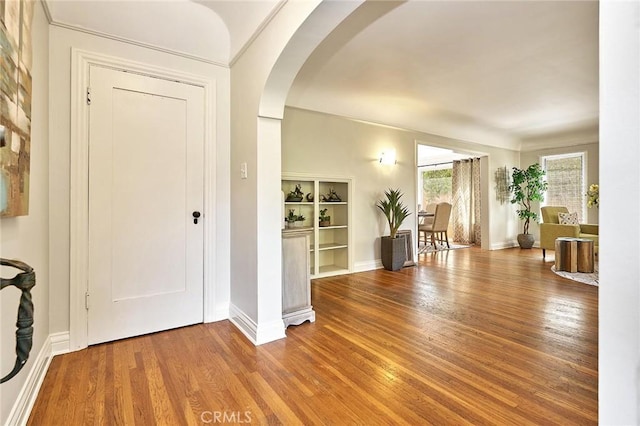 entrance foyer featuring wood-type flooring