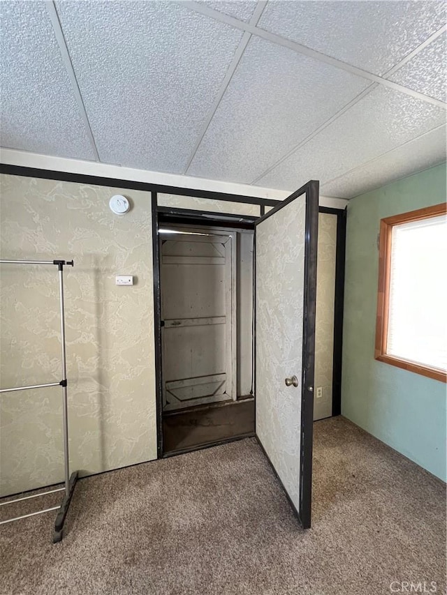 interior space with a paneled ceiling and carpet flooring