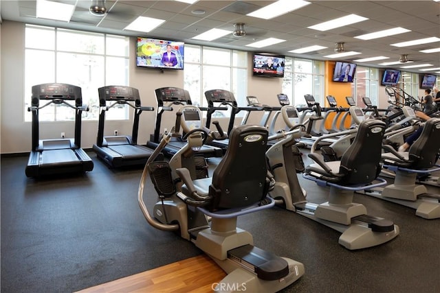 gym with hardwood / wood-style flooring, plenty of natural light, and a drop ceiling