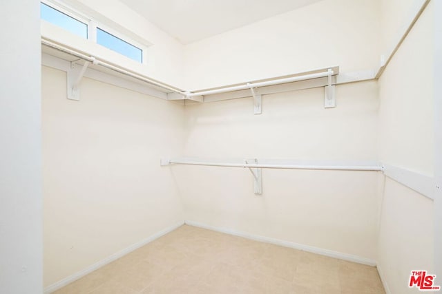 view of spacious closet