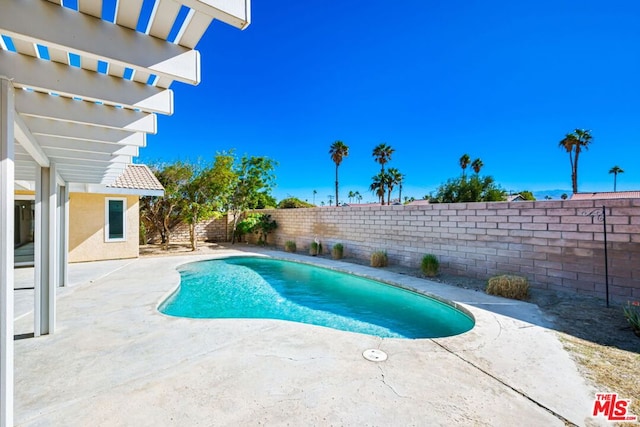 view of pool with a patio area