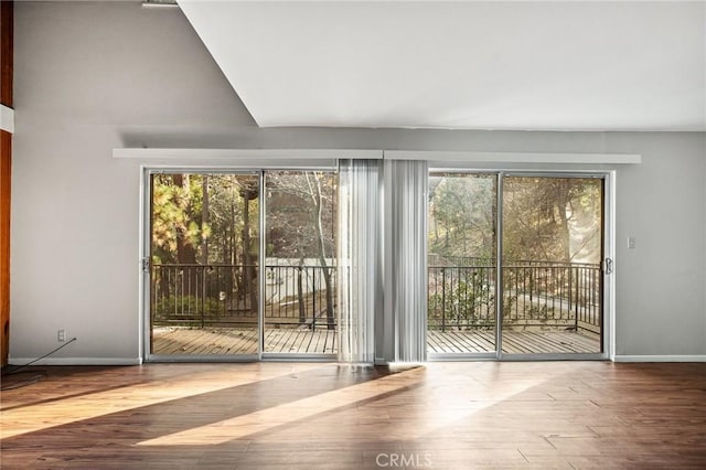 doorway to outside featuring wood-type flooring and a wealth of natural light