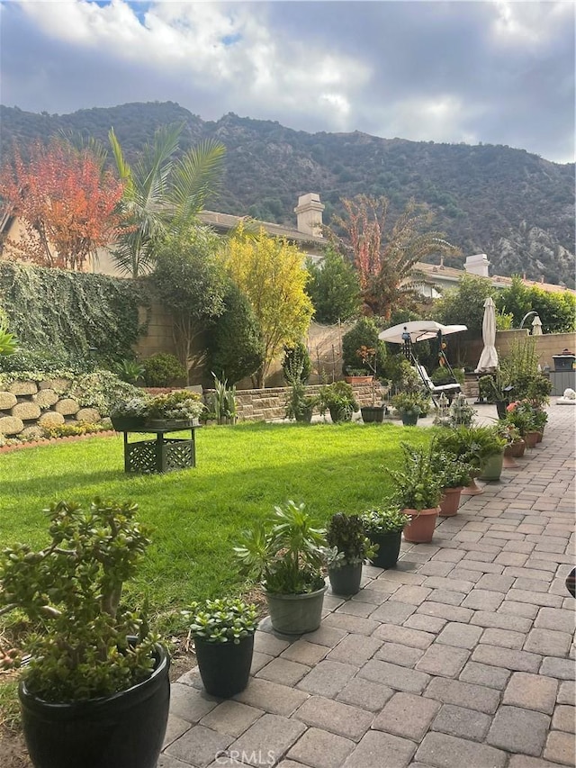 surrounding community featuring a patio area, a mountain view, and a yard