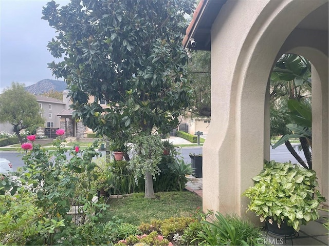 view of yard featuring a mountain view