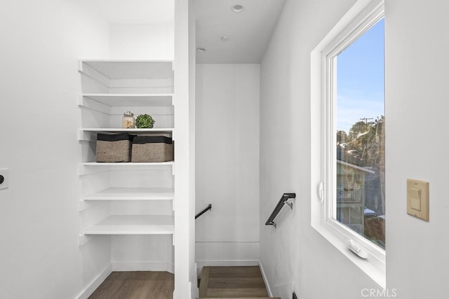 stairway with hardwood / wood-style flooring