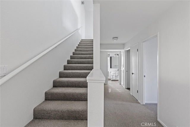 stairway with carpet floors