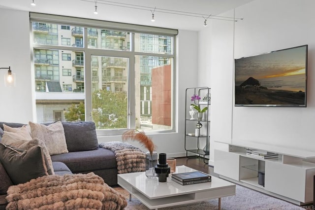 living room with hardwood / wood-style floors, plenty of natural light, and track lighting