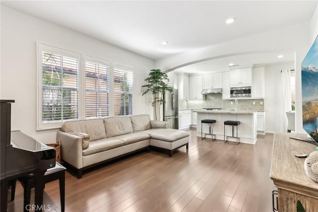 living room with sink and dark hardwood / wood-style floors