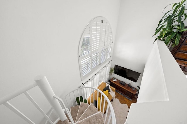 staircase featuring wood-type flooring