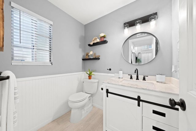 bathroom featuring vanity, toilet, and wood-type flooring