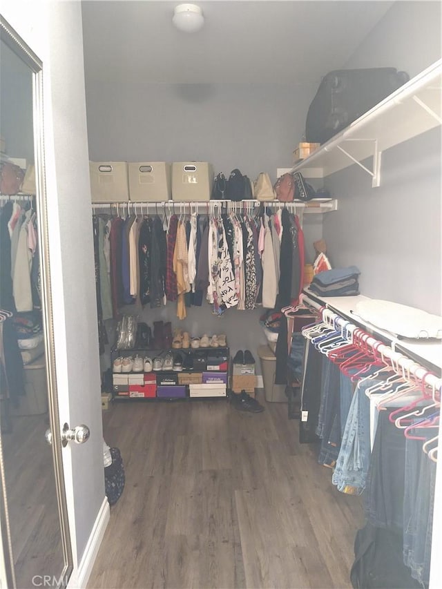 spacious closet featuring dark hardwood / wood-style floors