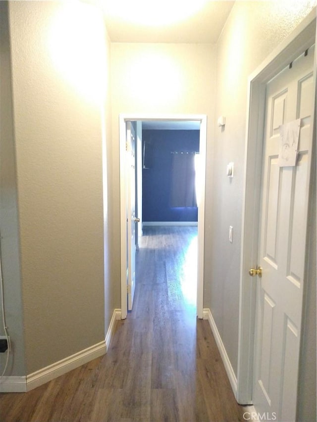 hallway with dark wood-type flooring