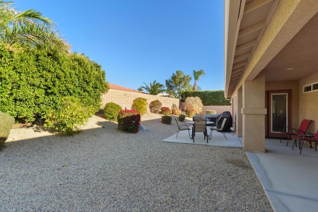 view of yard featuring a patio area