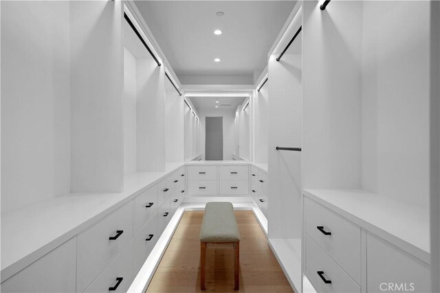 spacious closet with wood-type flooring