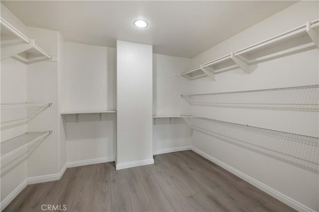 walk in closet with hardwood / wood-style flooring