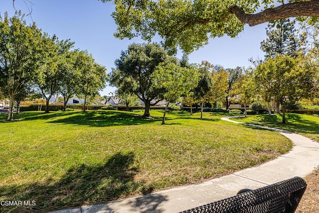 view of property's community with a lawn