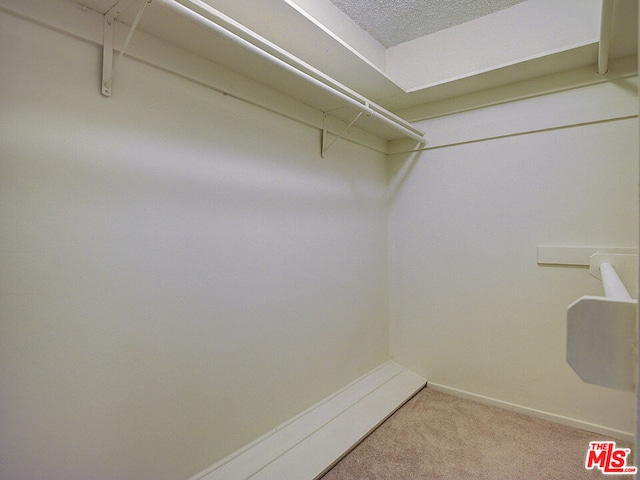 spacious closet with carpet