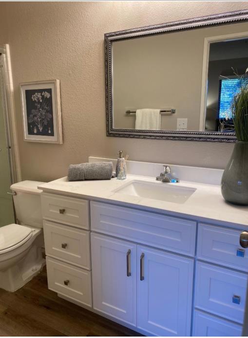 bathroom with vanity, wood-type flooring, and toilet