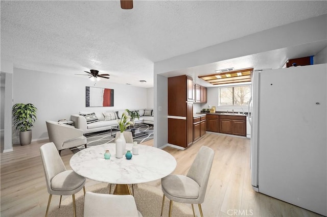 dining room featuring a textured ceiling, light wood-type flooring, ceiling fan, and sink