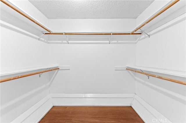 spacious closet featuring hardwood / wood-style floors